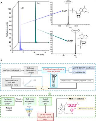 A label-free LC/MS-based enzymatic activity assay for the detection of PDE5A inhibitors